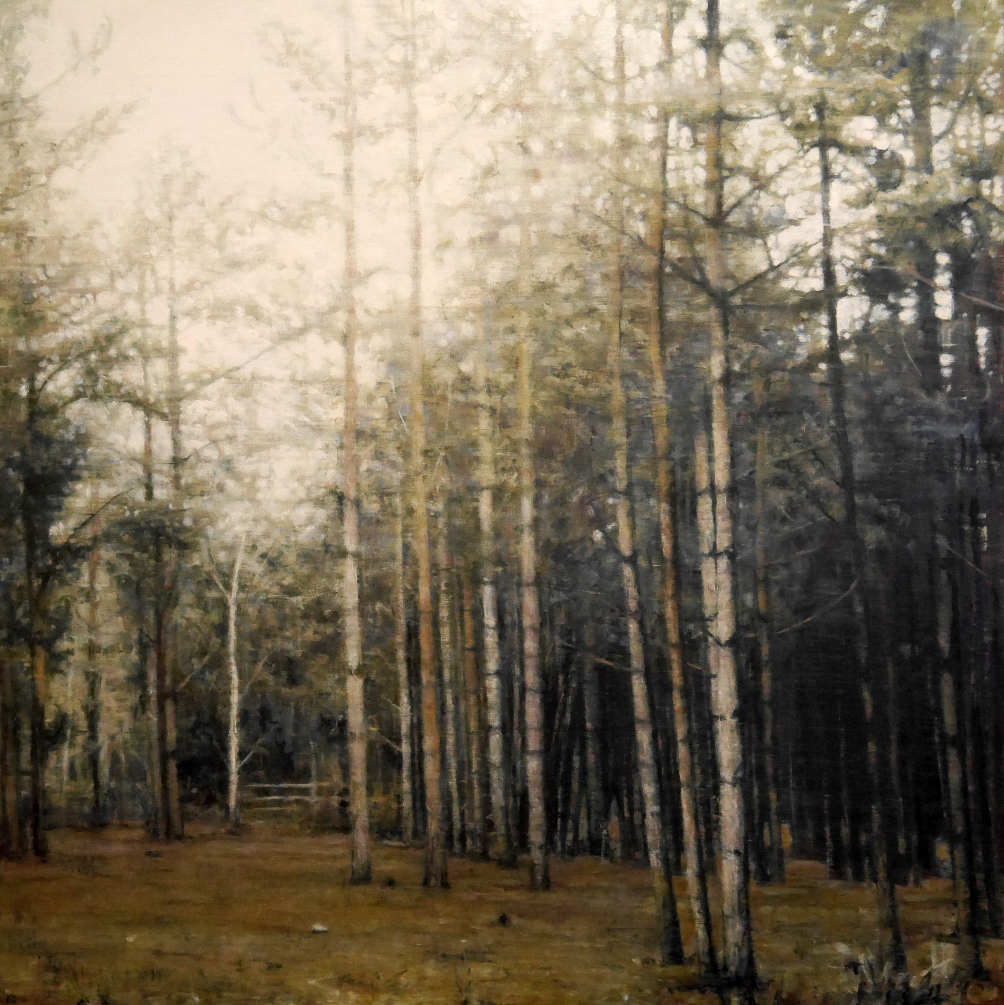 rendlesham-7-100x100cm