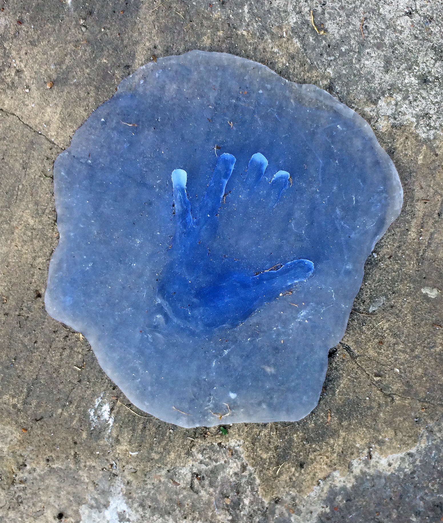 Glass - Reaching (2018) GH photo