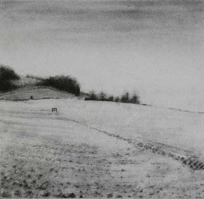 042 - TR - Flint (42x42cm) pencil and graphite on paper.jpg